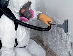 Best Basement Mold Removal  in Indian Shores, FL